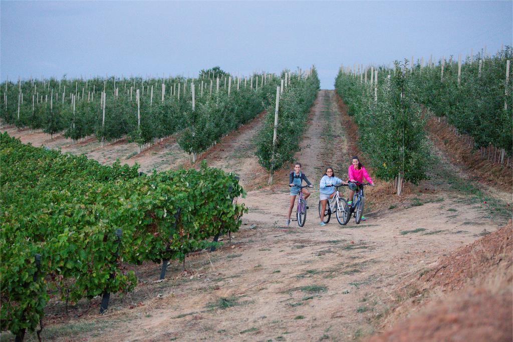 Quinta Da Barroca Douro Valley อาร์มามาร์ ภายนอก รูปภาพ